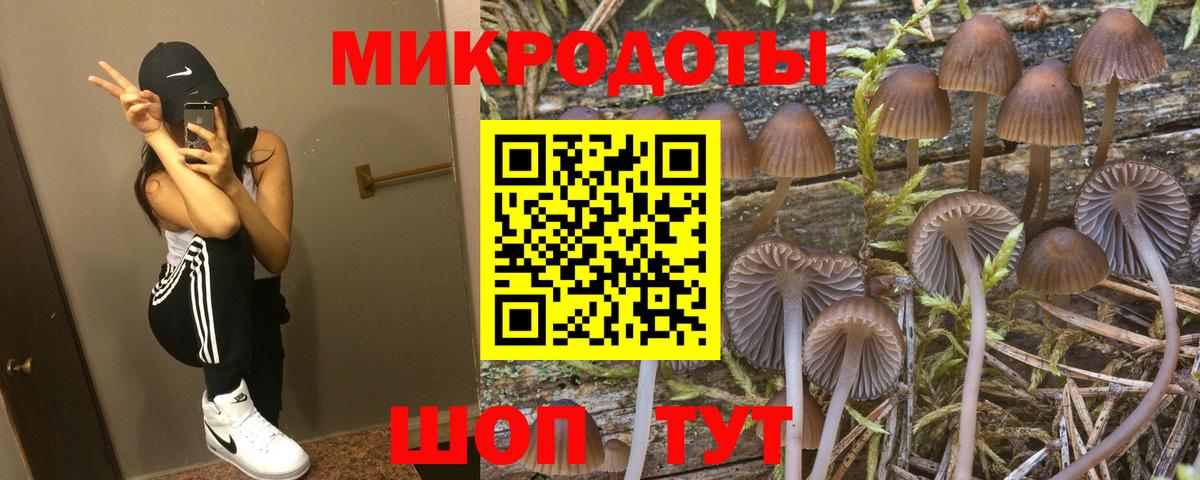 Галлюциногенные грибы мухоморы Холмск