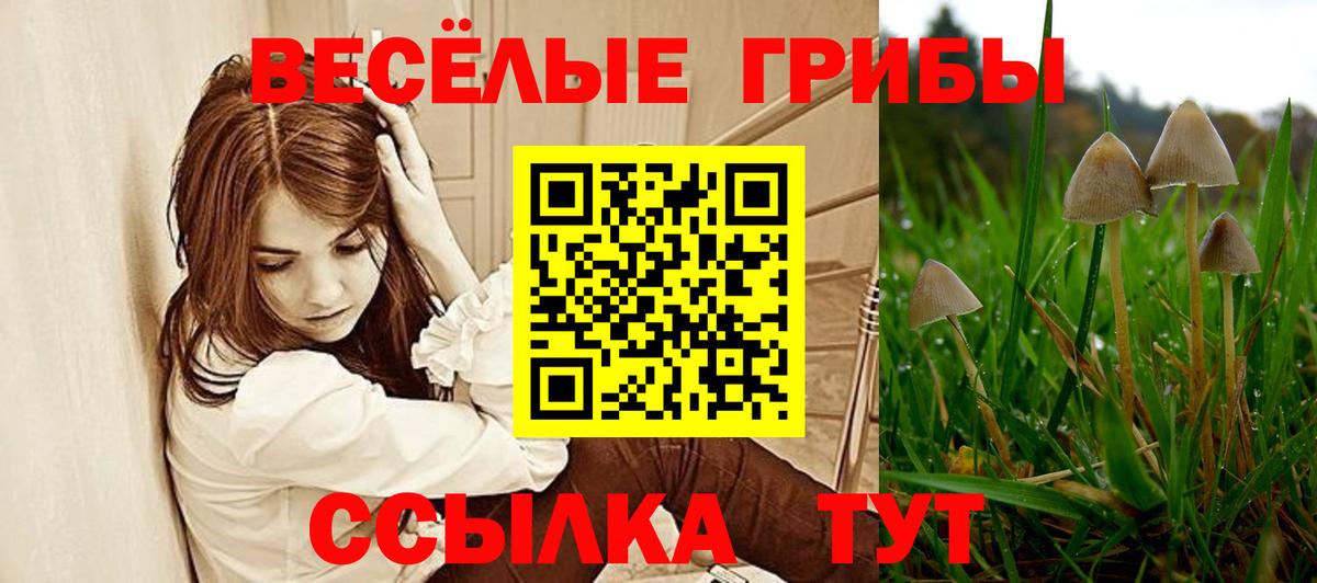 Псилоцибиновые грибы ЛСД  Вход с VPN  Холмск 