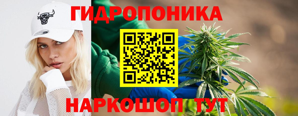 МАРИХУАНА конопля  Вход с VPN  Холмск  Конопля VHQ  МАРИХУАНА SATIVA & INDICA 